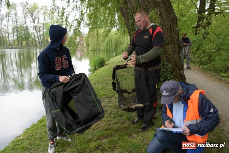 Zdjęcie w galerii na portalu naszraciborz.pl: Karpie dawały miejsce w czołówce. Wędkarze rozpoczęli sezon  wiadomości z regionu