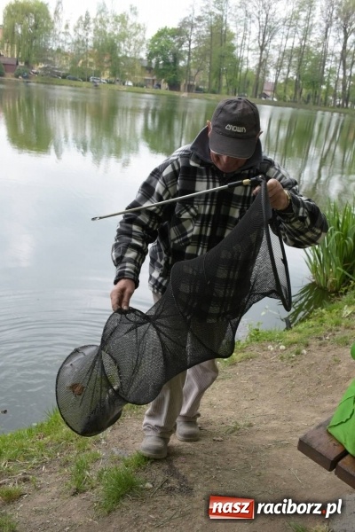 Zdjęcie w galerii na portalu naszraciborz.pl: Karpie dawały miejsce w czołówce. Wędkarze rozpoczęli sezon  wiadomości z regionu