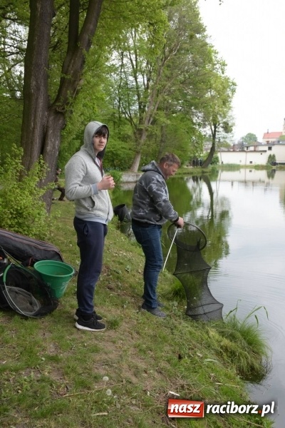 Zdjęcie w galerii na portalu naszraciborz.pl: Karpie dawały miejsce w czołówce. Wędkarze rozpoczęli sezon  wiadomości z regionu