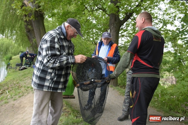 Zdjęcie w galerii na portalu naszraciborz.pl: Karpie dawały miejsce w czołówce. Wędkarze rozpoczęli sezon  wiadomości z regionu