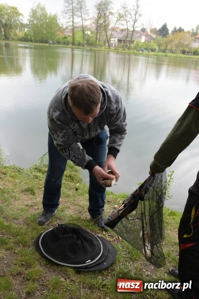 Zdjęcie w galerii na portalu naszraciborz.pl: Karpie dawały miejsce w czołówce. Wędkarze rozpoczęli sezon  wiadomości z regionu