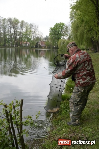 Zdjęcie w galerii na portalu naszraciborz.pl: Karpie dawały miejsce w czołówce. Wędkarze rozpoczęli sezon  wiadomości z regionu