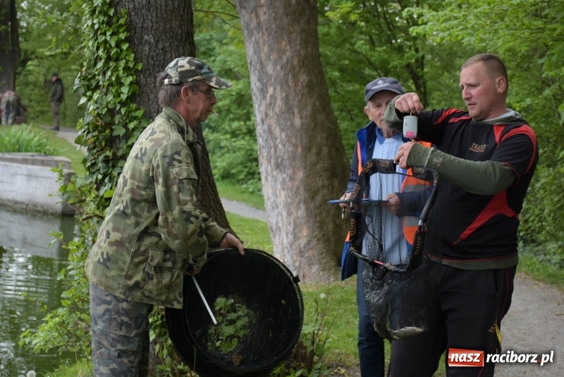 Zdjęcie w galerii na portalu naszraciborz.pl: Karpie dawały miejsce w czołówce. Wędkarze rozpoczęli sezon  wiadomości z regionu