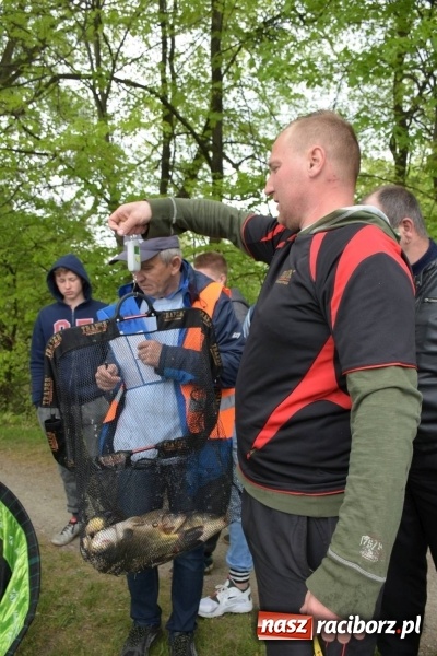 Zdjęcie w galerii na portalu naszraciborz.pl: Karpie dawały miejsce w czołówce. Wędkarze rozpoczęli sezon  wiadomości z regionu