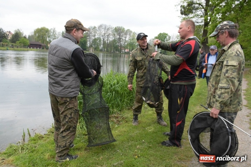 Zdjęcie w galerii na portalu naszraciborz.pl: Karpie dawały miejsce w czołówce. Wędkarze rozpoczęli sezon  wiadomości z regionu