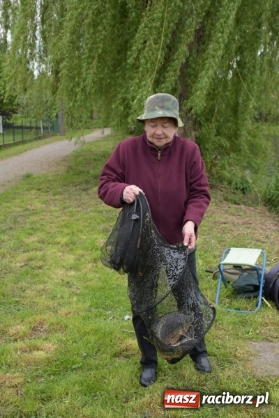 Zdjęcie w galerii na portalu naszraciborz.pl: Karpie dawały miejsce w czołówce. Wędkarze rozpoczęli sezon  wiadomości z regionu