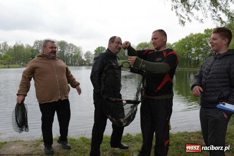 Zdjęcie w galerii na portalu naszraciborz.pl: Karpie dawały miejsce w czołówce. Wędkarze rozpoczęli sezon  wiadomości z regionu