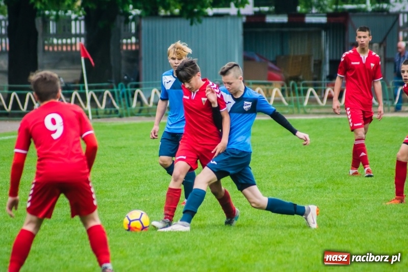 Zdjęcie w galerii na portalu naszraciborz.pl: Choć bardzo się starali, Tychom punktów nie urwali [FOTO] wiadomości z regionu