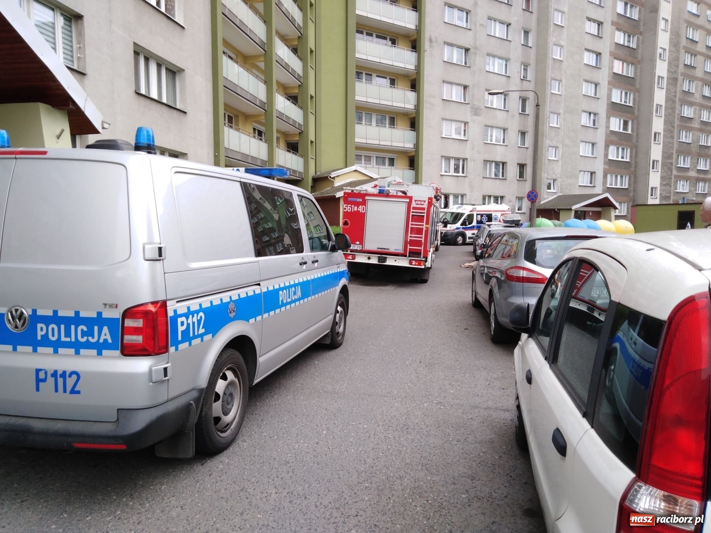 Zdjęcie w galerii na portalu naszraciborz.pl: Wypadki, kolizje i owady, czyli weekend raciborskich strażaków wiadomości z regionu