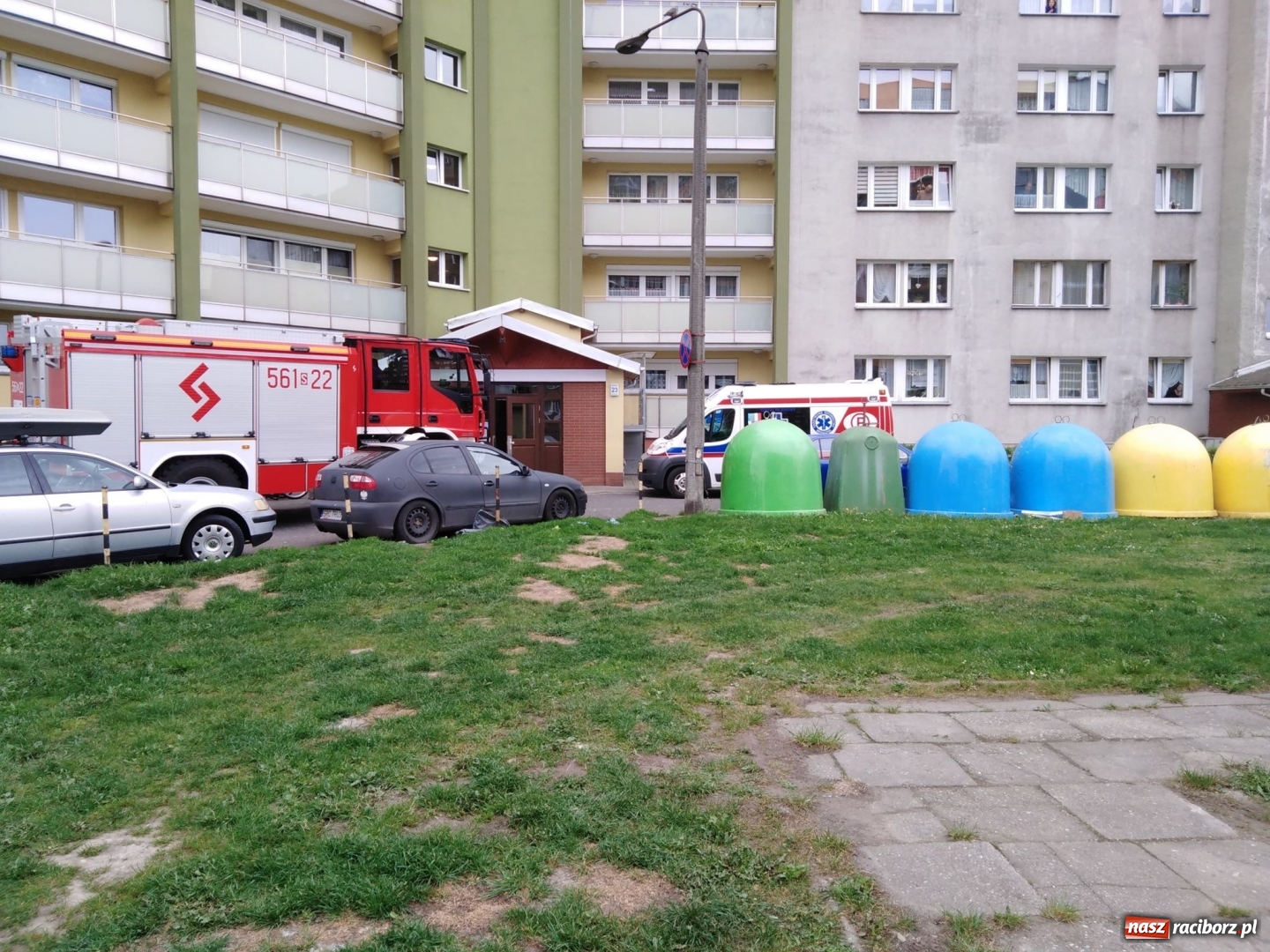 Zdjęcie w galerii na portalu naszraciborz.pl: Wypadki, kolizje i owady, czyli weekend raciborskich strażaków wiadomości z regionu