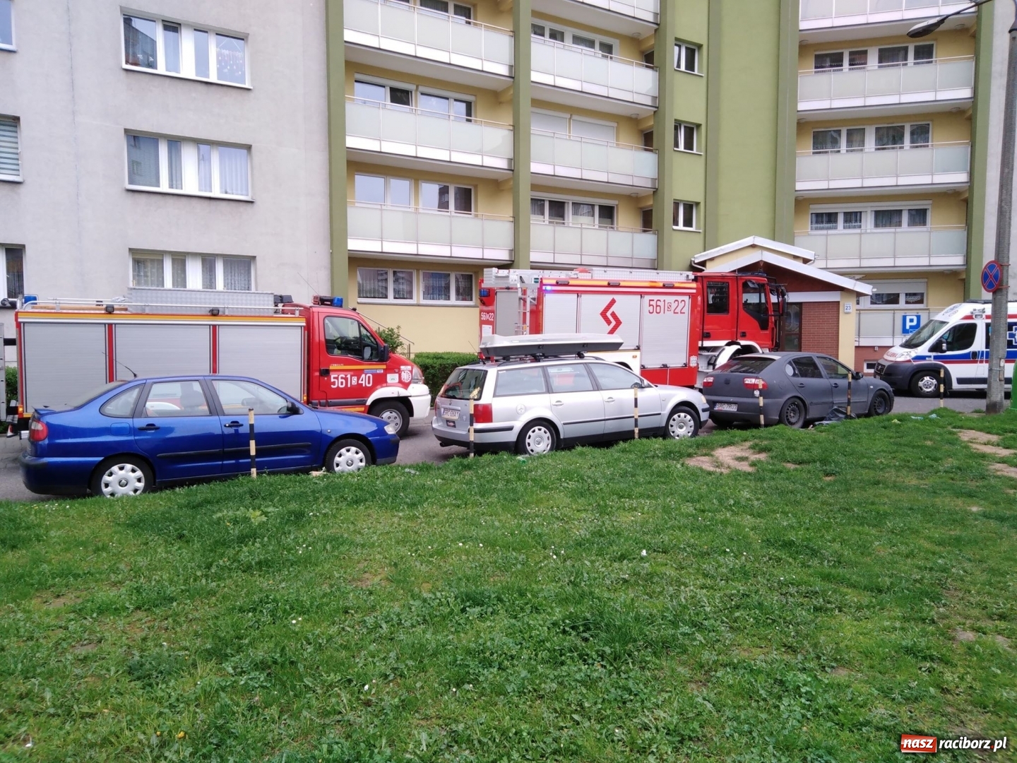 Zdjęcie w galerii na portalu naszraciborz.pl: Wypadki, kolizje i owady, czyli weekend raciborskich strażaków wiadomości z regionu