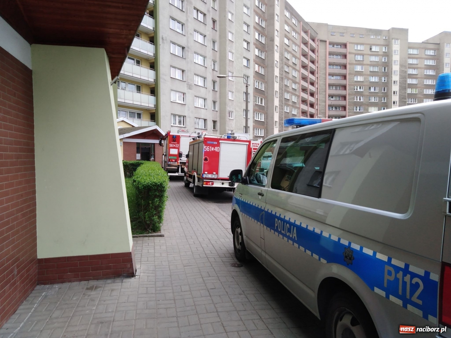 Zdjęcie w galerii na portalu naszraciborz.pl: Wypadki, kolizje i owady, czyli weekend raciborskich strażaków wiadomości z regionu