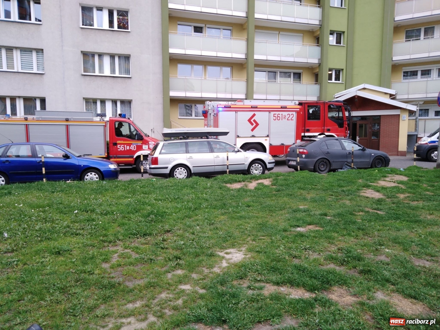 Zdjęcie w galerii na portalu naszraciborz.pl: Wypadki, kolizje i owady, czyli weekend raciborskich strażaków wiadomości z regionu