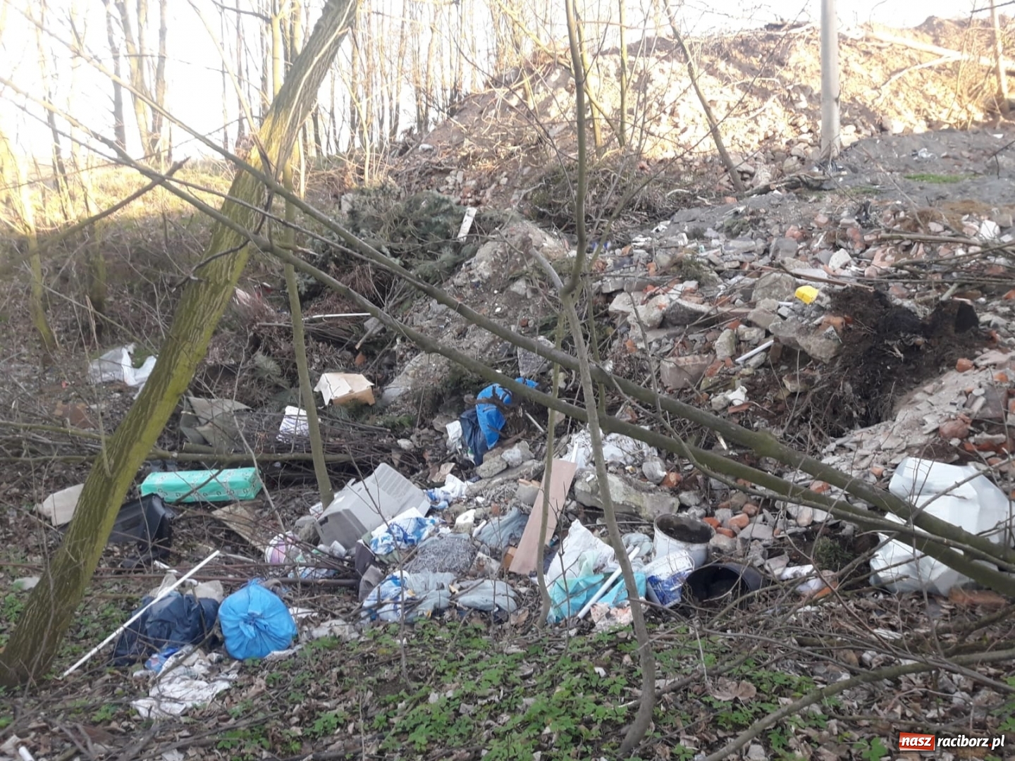 Zdjęcie w galerii na portalu naszraciborz.pl: W Rudniku dbają o środowisko. Sprzątnęli śmieci w całej gminie wiadomości z regionu