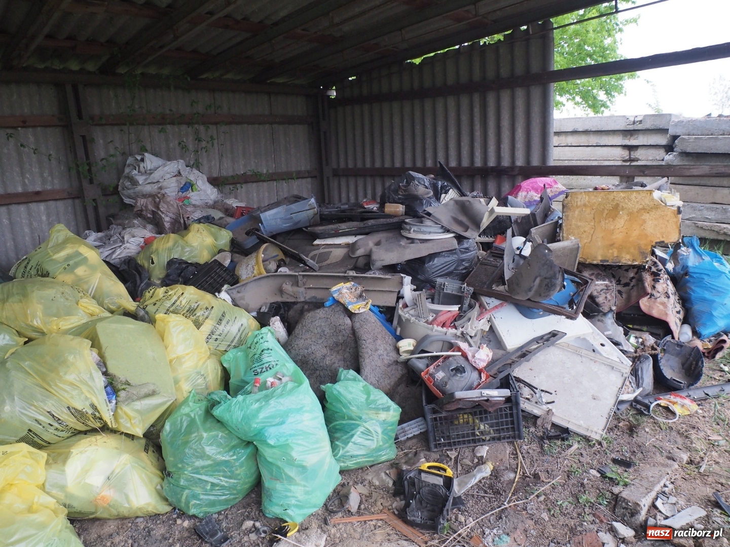 Zdjęcie w galerii na portalu naszraciborz.pl: W Rudniku dbają o środowisko. Sprzątnęli śmieci w całej gminie wiadomości z regionu