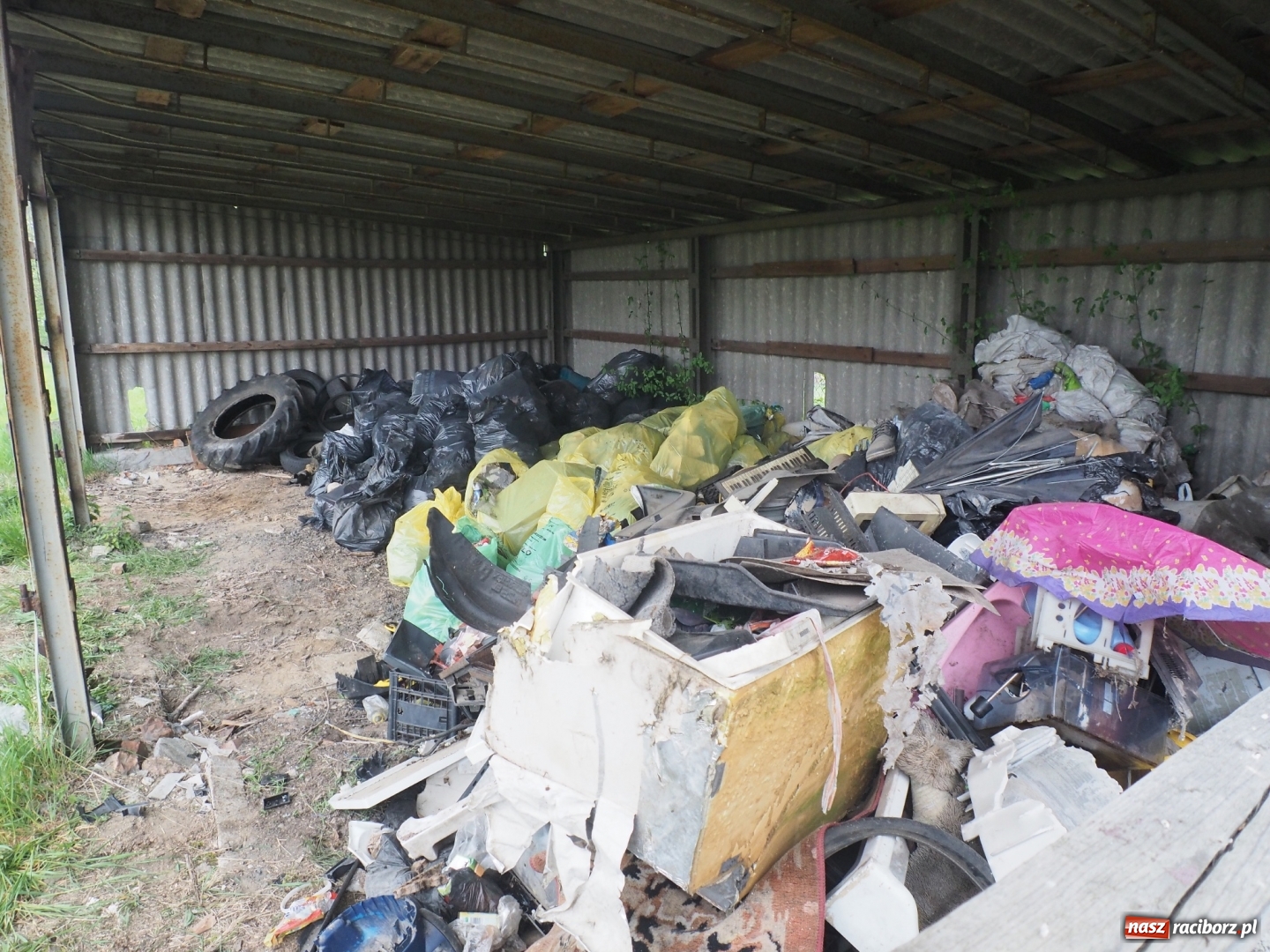 Zdjęcie w galerii na portalu naszraciborz.pl: W Rudniku dbają o środowisko. Sprzątnęli śmieci w całej gminie wiadomości z regionu