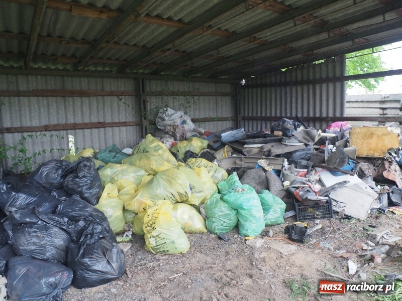 Zdjęcie w galerii na portalu naszraciborz.pl: W Rudniku dbają o środowisko. Sprzątnęli śmieci w całej gminie wiadomości z regionu