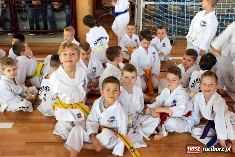 Zdjęcie w galerii na portalu naszraciborz.pl: Mistrzostwa Polski w Taekwondo. Zawodnicy z Raciborza nie zawiedli wiadomości z regionu