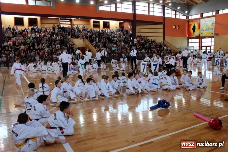 Zdjęcie w galerii na portalu naszraciborz.pl: Mistrzostwa Polski w Taekwondo. Zawodnicy z Raciborza nie zawiedli wiadomości z regionu