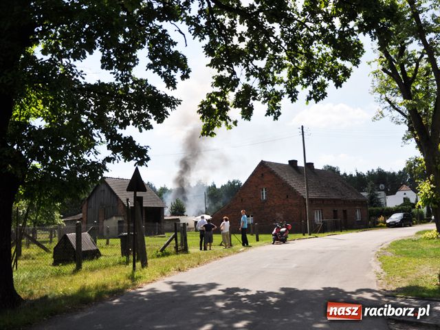 Zdjęcie w galerii na portalu naszraciborz.pl: Pożar pasieki w Rudach wiadomości z regionu