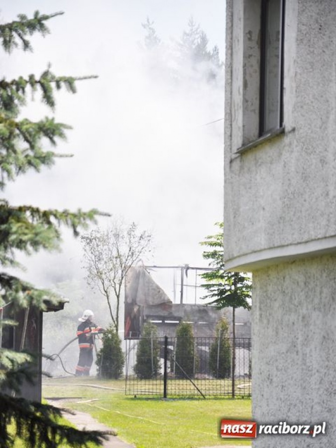 Zdjęcie w galerii na portalu naszraciborz.pl: Pożar pasieki w Rudach wiadomości z regionu