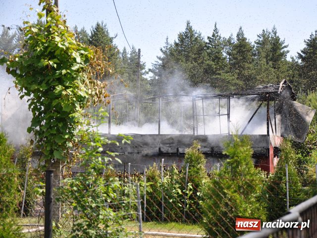 Zdjęcie w galerii na portalu naszraciborz.pl: Pożar pasieki w Rudach wiadomości z regionu