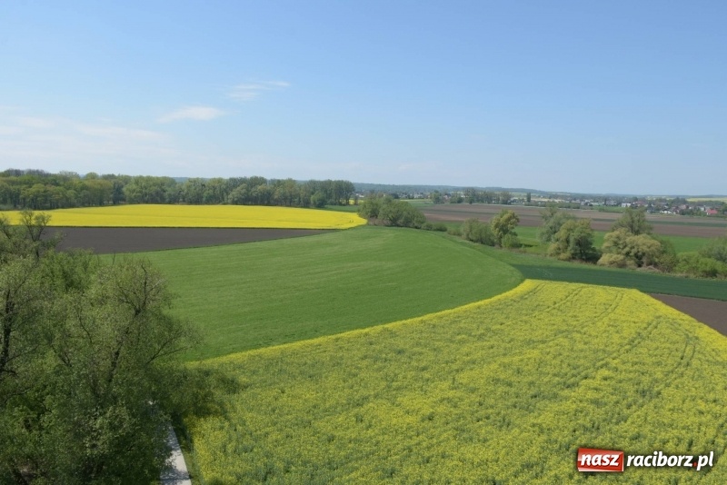 Zdjęcie w galerii na portalu naszraciborz.pl: Ale jazda ! Rajd rozpoczynający sezon rowerowy w gminie Krzyżanowice  wiadomości z regionu