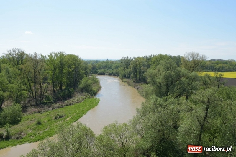 Zdjęcie w galerii na portalu naszraciborz.pl: Ale jazda ! Rajd rozpoczynający sezon rowerowy w gminie Krzyżanowice  wiadomości z regionu