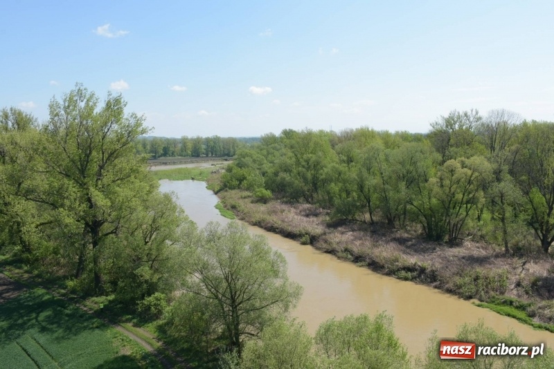 Zdjęcie w galerii na portalu naszraciborz.pl: Ale jazda ! Rajd rozpoczynający sezon rowerowy w gminie Krzyżanowice  wiadomości z regionu