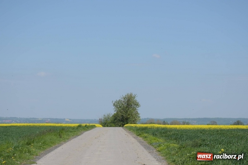Zdjęcie w galerii na portalu naszraciborz.pl: Ale jazda ! Rajd rozpoczynający sezon rowerowy w gminie Krzyżanowice  wiadomości z regionu