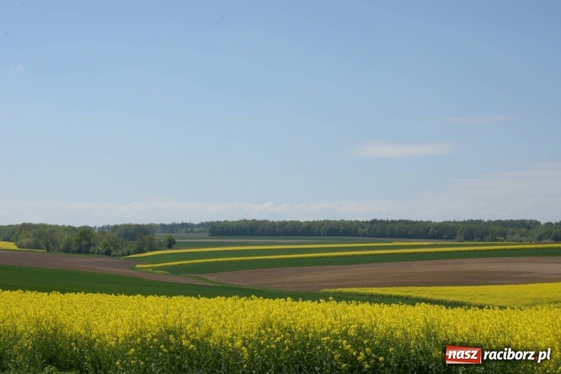 Zdjęcie w galerii na portalu naszraciborz.pl: Ale jazda ! Rajd rozpoczynający sezon rowerowy w gminie Krzyżanowice  wiadomości z regionu