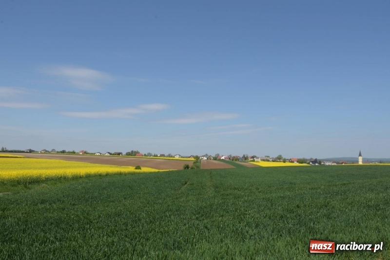 Zdjęcie w galerii na portalu naszraciborz.pl: Ale jazda ! Rajd rozpoczynający sezon rowerowy w gminie Krzyżanowice  wiadomości z regionu