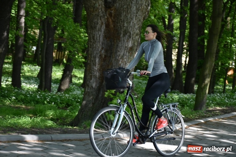 Zdjęcie w galerii na portalu naszraciborz.pl: Ale jazda ! Rajd rozpoczynający sezon rowerowy w gminie Krzyżanowice  wiadomości z regionu