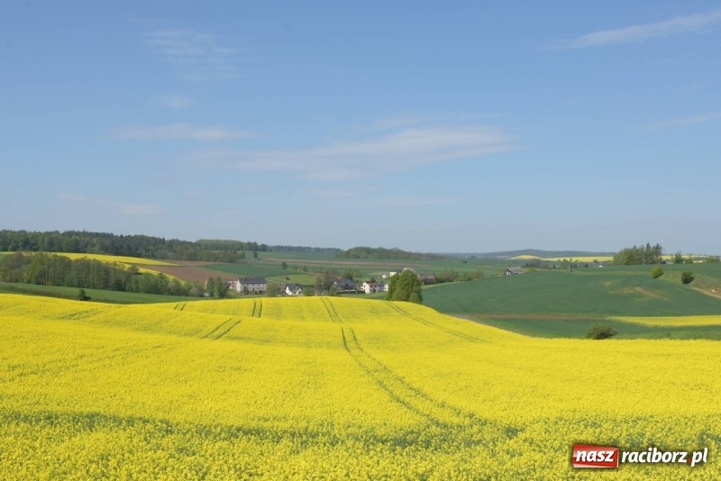 Zdjęcie w galerii na portalu naszraciborz.pl: Ale jazda ! Rajd rozpoczynający sezon rowerowy w gminie Krzyżanowice  wiadomości z regionu