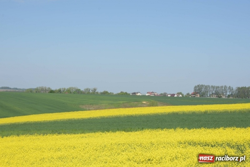 Zdjęcie w galerii na portalu naszraciborz.pl: Ale jazda ! Rajd rozpoczynający sezon rowerowy w gminie Krzyżanowice  wiadomości z regionu