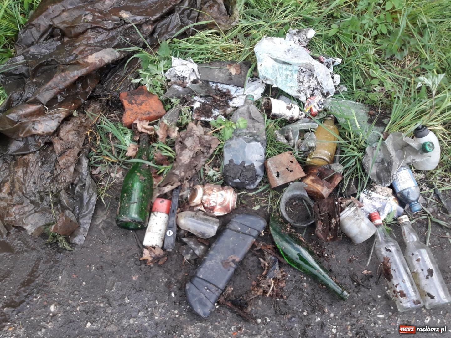 Zdjęcie w galerii na portalu naszraciborz.pl: Arboretum potrzebuje wielkiego sprzątania [FOTO] wiadomości z regionu