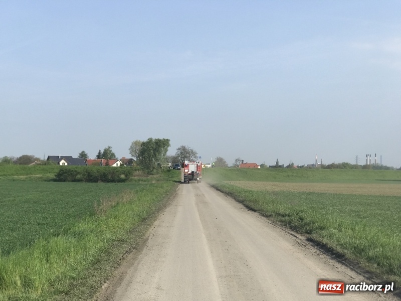 Zdjęcie w galerii na portalu naszraciborz.pl: W akwenie przy zbiorniku Racibórz ujawniono zatopiony samochód [FOTO]  wiadomości z regionu