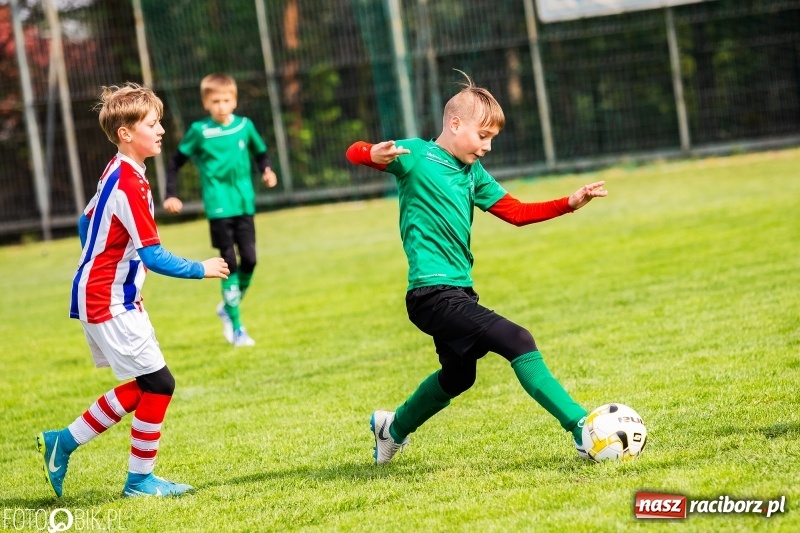 Zdjęcie w galerii na portalu naszraciborz.pl: Górnik Zabrze zwycięzcą II turnieju im. Huberta Kostki wiadomości z regionu