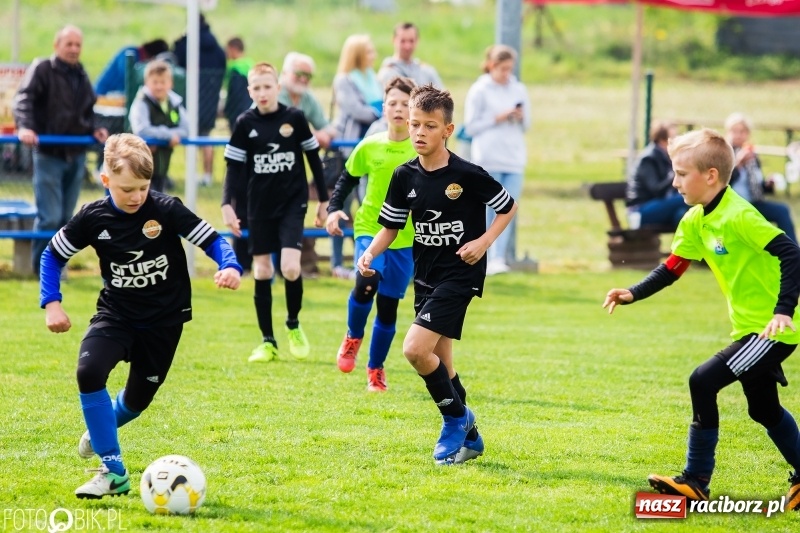 Zdjęcie w galerii na portalu naszraciborz.pl: Górnik Zabrze zwycięzcą II turnieju im. Huberta Kostki wiadomości z regionu