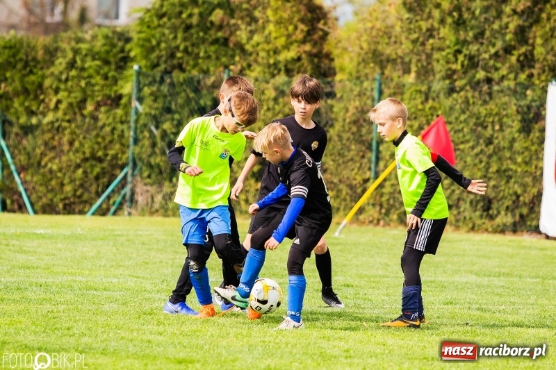 Zdjęcie w galerii na portalu naszraciborz.pl: Górnik Zabrze zwycięzcą II turnieju im. Huberta Kostki wiadomości z regionu