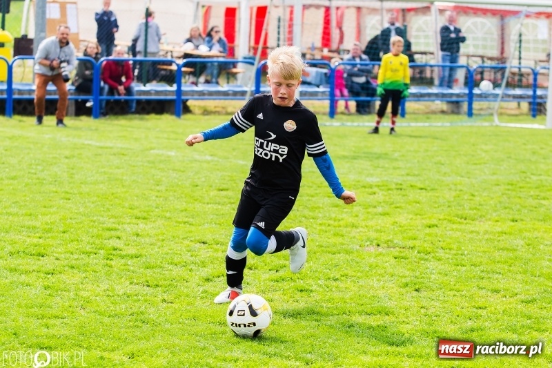 Zdjęcie w galerii na portalu naszraciborz.pl: Górnik Zabrze zwycięzcą II turnieju im. Huberta Kostki wiadomości z regionu