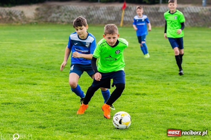Zdjęcie w galerii na portalu naszraciborz.pl: Górnik Zabrze zwycięzcą II turnieju im. Huberta Kostki wiadomości z regionu