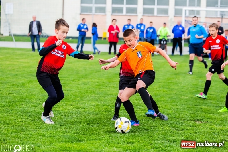 Zdjęcie w galerii na portalu naszraciborz.pl: Górnik Zabrze zwycięzcą II turnieju im. Huberta Kostki wiadomości z regionu