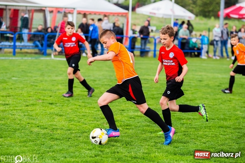 Zdjęcie w galerii na portalu naszraciborz.pl: Górnik Zabrze zwycięzcą II turnieju im. Huberta Kostki wiadomości z regionu