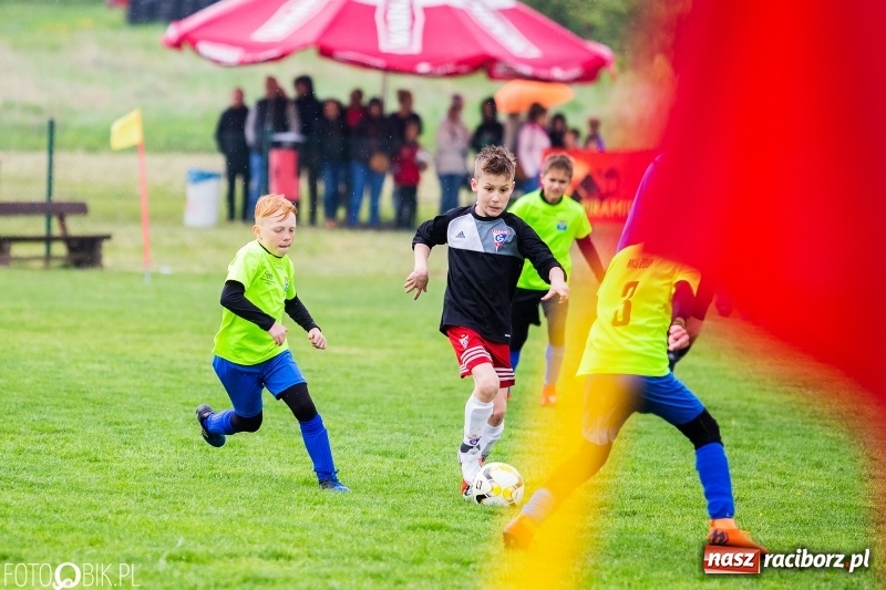 Zdjęcie w galerii na portalu naszraciborz.pl: Górnik Zabrze zwycięzcą II turnieju im. Huberta Kostki wiadomości z regionu