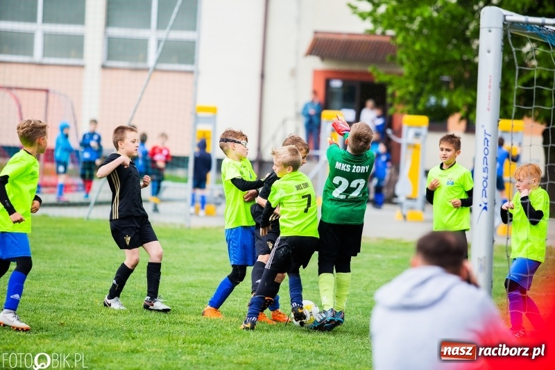 Zdjęcie w galerii na portalu naszraciborz.pl: Górnik Zabrze zwycięzcą II turnieju im. Huberta Kostki wiadomości z regionu