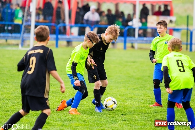 Zdjęcie w galerii na portalu naszraciborz.pl: Górnik Zabrze zwycięzcą II turnieju im. Huberta Kostki wiadomości z regionu