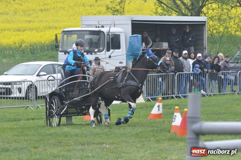 Zdjęcie w galerii na portalu naszraciborz.pl: Widowiskowa rywalizacja w powożeniu na kornickiej majówce [FOTO i WIDEO] wiadomości z regionu
