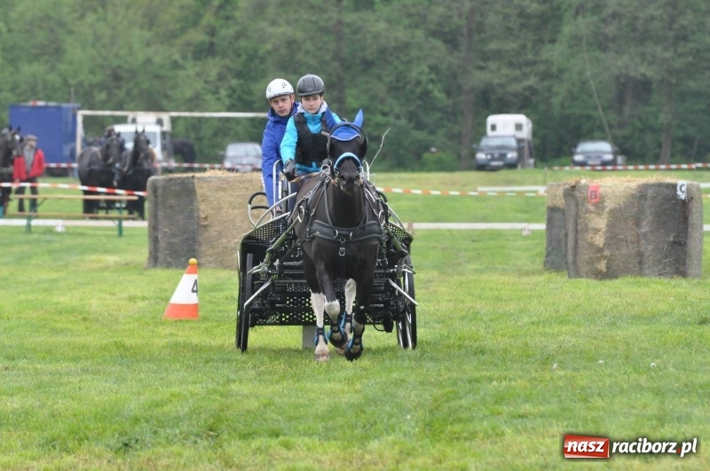 Zdjęcie w galerii na portalu naszraciborz.pl: Widowiskowa rywalizacja w powożeniu na kornickiej majówce [FOTO i WIDEO] wiadomości z regionu