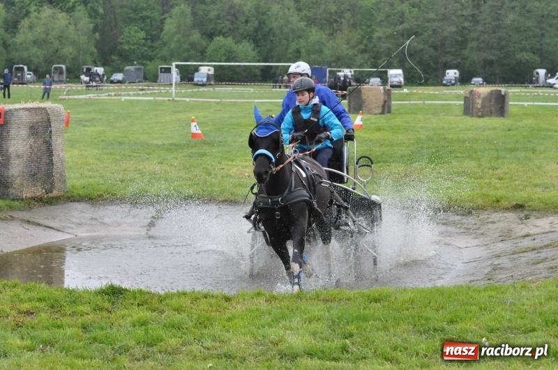 Zdjęcie w galerii na portalu naszraciborz.pl: Widowiskowa rywalizacja w powożeniu na kornickiej majówce [FOTO i WIDEO] wiadomości z regionu